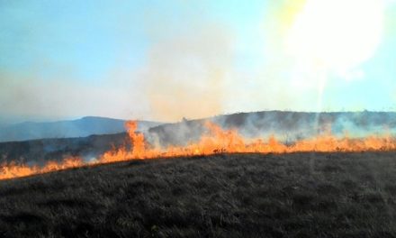 Minas Gerais teve mais de 10 mil focos de incêndios e queimadas em 2015