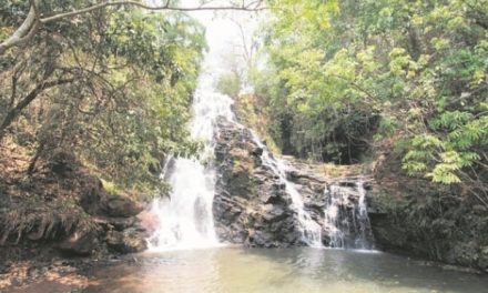 Greve suspende visitação em 11 parques de MG por tempo indeterminado