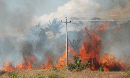 Clima seco aumenta incidência de queimadas no segundo semestre