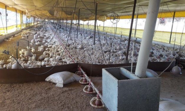 Produtores rurais têm prejuízos com as chuvas e alguns estão sem estradas em Pará de Minas