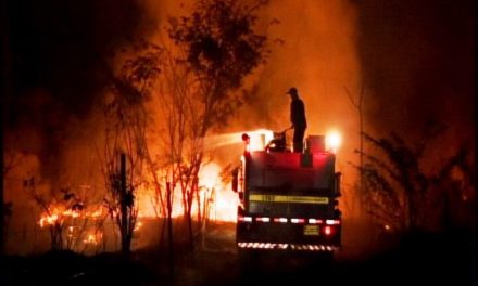 Incêndio em grandes proporções atinge parque ecológico em Divinópolis