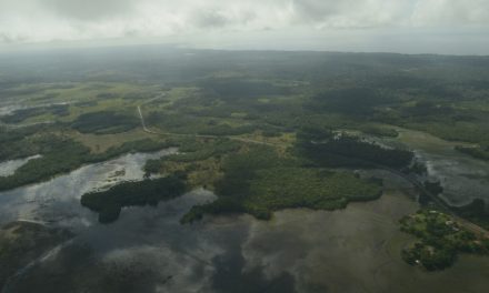 Liminar suspende ato do governo que extingue reserva do cobre