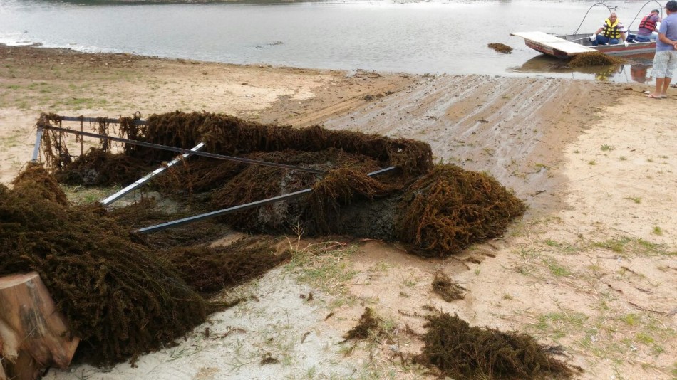 Iniciada a limpeza da Lagoa do Fundão