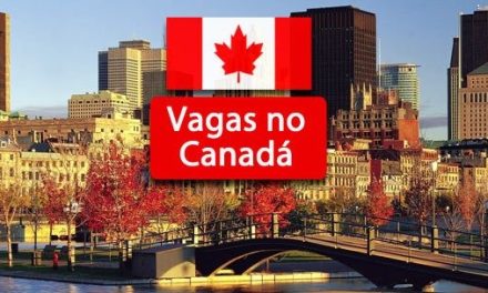 Canadá recruta brasileiros para vagas em T.I.