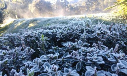 Confira um balanço da onda de frio dos últimos dias