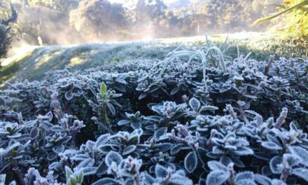 Frio bate recorde de 2018 em Formiga nessa madrugada