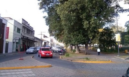 Praça da Matriz ficará interditada nesta segunda para poda de árvores