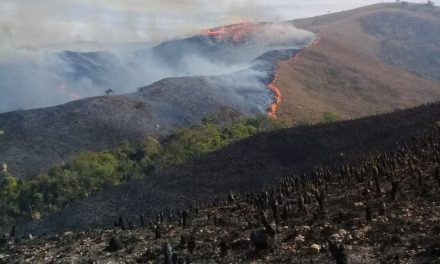 Incêndio no Parque Nacional da Serra da Canastra chega ao 3º dia; pelo 10 mil hectares já foram destruídos