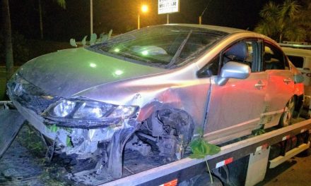 Veículo atinge placa e árvore na MG-050