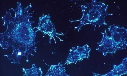 Cientistas dizem ter achado a ‘cura definitiva’ para o câncer