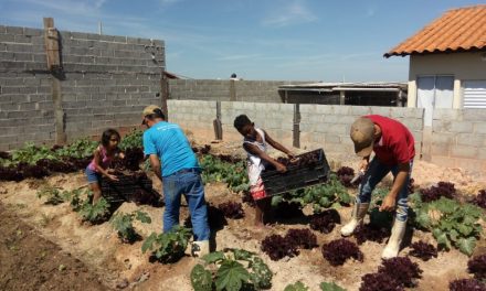 Banco de Alimentos divulga ações realizadas nesta semana