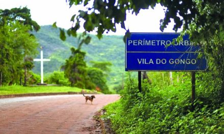 Justiça atende pedido do MPMG e determina à Vale a evacuação dos animais das áreas de risco em Barão de Cocais