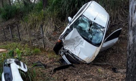 Motorista tenta desviar de animal e sofre acidente na MG-439 em Pains