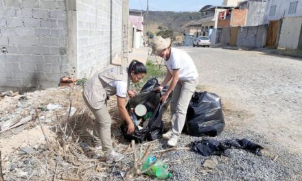 Formiga registrou quase 700 casos suspeitos de dengue