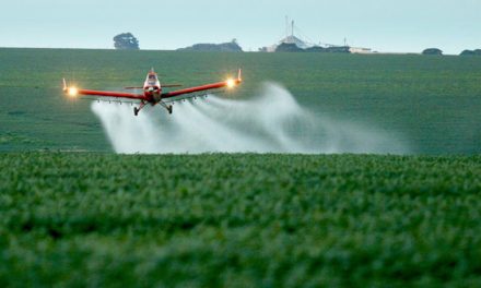 Governo federal aprova registro de mais 31 agrotóxicos, somando 169 no ano