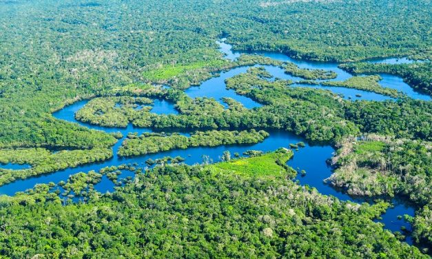 Com dados preliminares, alertas de desmatamento em janeiro na Amazônia apontam queda