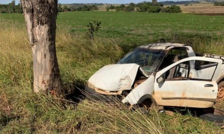 Veículo se choca com árvore após motorista perder controle de direção