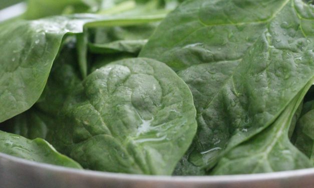 Descubra qual vegetal combate inflamações e protege as articulações