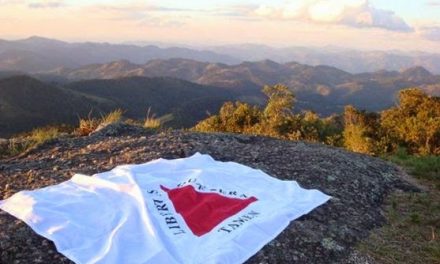 Hoje é comemorado o Dia de Minas Gerais