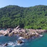 Minas Gerais é líder de ranking nacional de desmatamento da Mata Atlântica