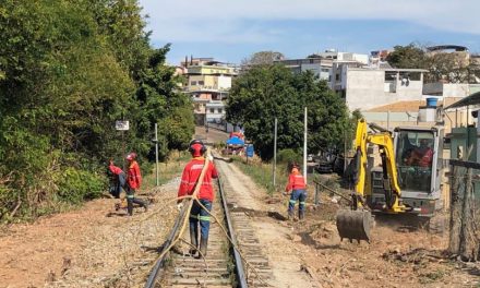 ‘VLI Multimodal’ retoma trabalhos de limpeza em Formiga