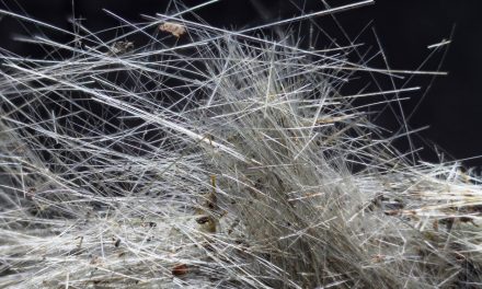 Parceria viabiliza imagens em alta definição de minerais pesquisados no Unifor-MG