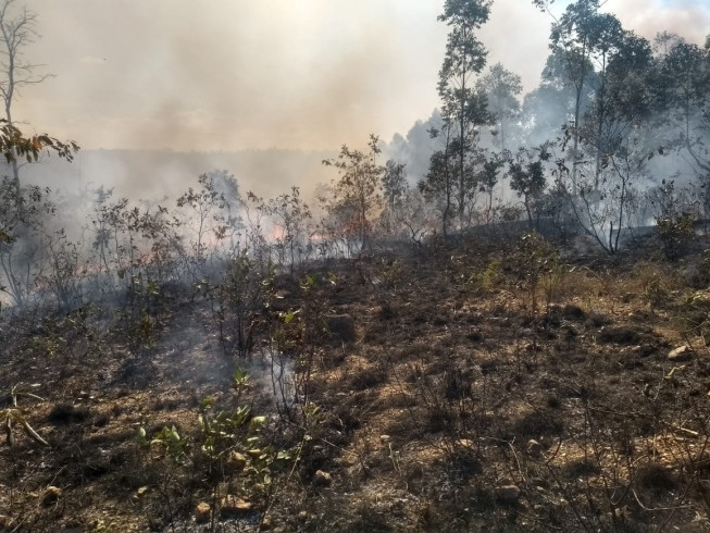 Incêndio de grandes proporções atinge fazenda em Sete Lagoas e põe em risco fábrica e nascente