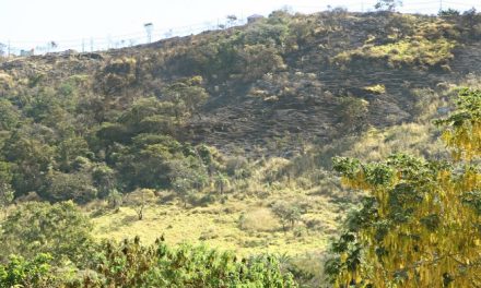 Fogo destrói área de 1,5 mil campos de futebol em parques de Minas