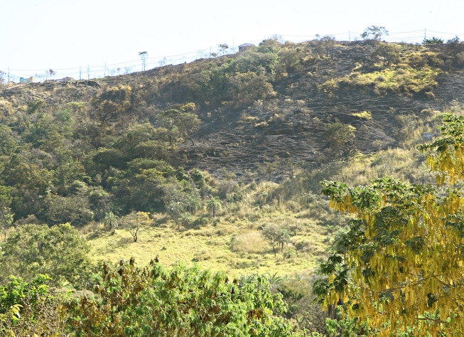Fogo destrói área de 1,5 mil campos de futebol em parques de Minas