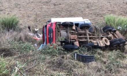 Carreta cai em ribanceira às margens da BR-354