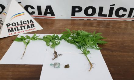 Dois são presos por porte e cultivo de maconha em Arcos