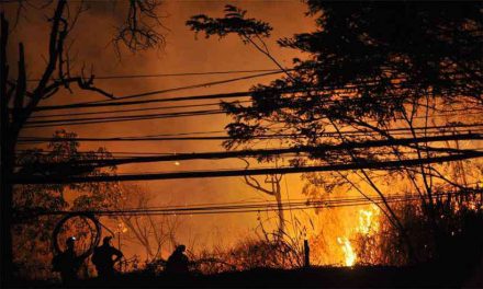 Inpe detecta 77% mais focos de fogo em Minas e bombeiros preveem: vai piorar