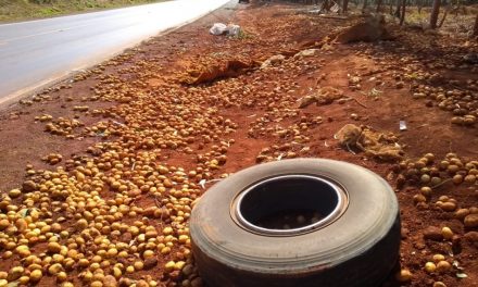 Rodas de um semirreboque se desprendem e atingem veículo na BR 354