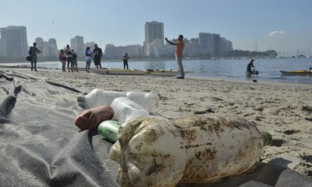 Japão fabricará roupas a partir de garrafas de plástico recicladas