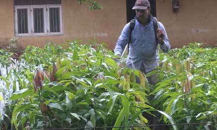 Ingestão de pesticidas é responsável por um em cada cinco suicídios no mundo