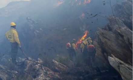 Novo foco de incêndio atinge Serra do Cipó neste sábado