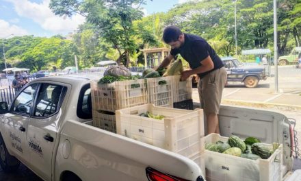 Divulgadas ações realizadas pelo Banco de Alimentos nesta semana