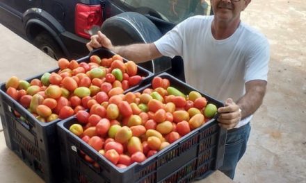 Divulgados os trabalhos do Banco de Alimentos nesta semana