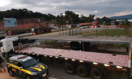 PRF apreende quase 1 tonelada de maconha em carreta na BR-262