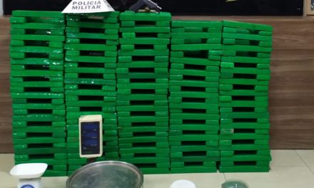 Mais de 280 quilos de maconha são apreendidos em Divinópolis e Itaúna
