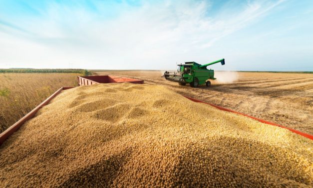 IBGE estima safra recorde de 296,2 milhões de toneladas neste ano