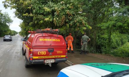 Áreas de risco de inundação e alagamento em Lagoa da Prata passam por vistorias