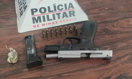 Armas são apreendidas durante festa em chácara na MG-050