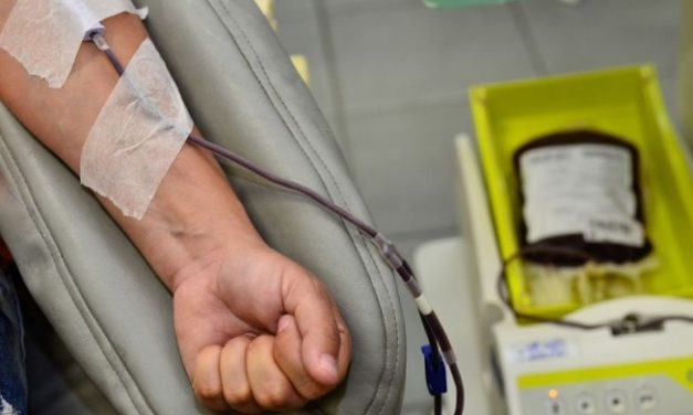 Triagem dos sangues recebidos nos hemocentros passa a incluir teste de malária