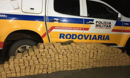 Cerca de 370 kg de maconha são encontrados em carro estacionado na BR-452