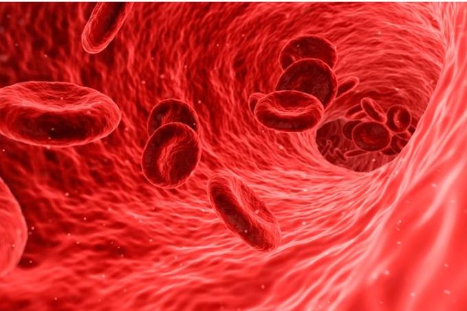 Plasma sanguíneo de pacientes curados pode ser usado contra covid-19