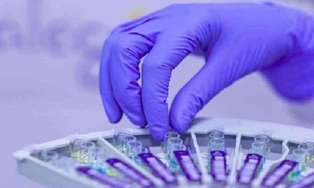 OMS alerta para aumento da resistência a antibióticos em infecções bacterianas