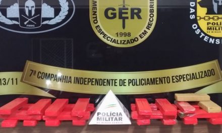 PM de Divinópolis encontra 25 kg de maconha em matagal