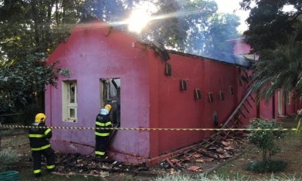 Museu de História Natural da UFMG pega fogo e parte do acervo é atingido