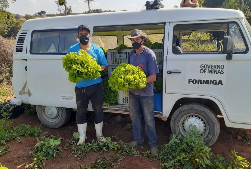 Banco Municipal de Alimentos divulga trabalhos realizados nesta semana